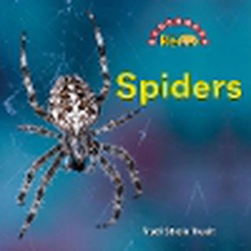 Cover image for Spiders