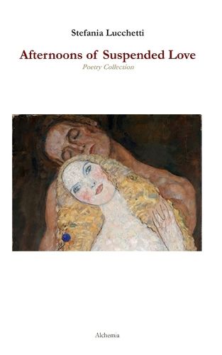Cover image for Afternoons of Suspended Love