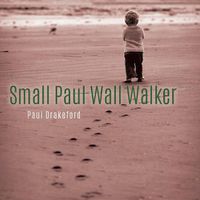 Cover image for Small Paul Wall Walker