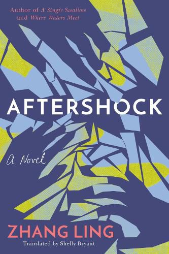 Cover image for Aftershock