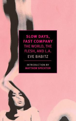 Cover image for Slow Days, Fast Company