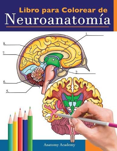 Cover image for Libro para colorear de neuroanatomia: Libro para colorear detalladisimo de cerebro humano para autoevaluacion en la neurociencia Un regalo perfecto para estudiantes de medicina, enfermeras, medicos y adultos