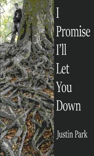 Cover image for I Promise I'll Let You Down