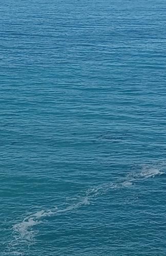 Cover image for Ever Adrift