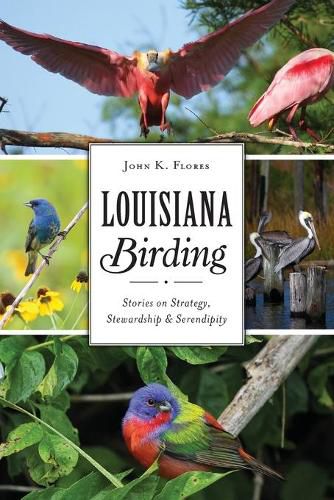 Cover image for Louisiana Birding: Stories on Strategy, Stewardship and Serendipity