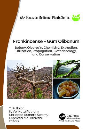 Cover image for Frankincense - Gum Olibanum