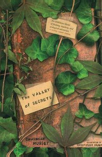 Cover image for Valley of Secrets