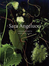 Cover image for Sara Angelucci: Undergrowth / Brousailles