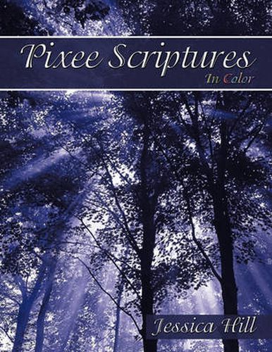 Cover image for Pixee Scriptures