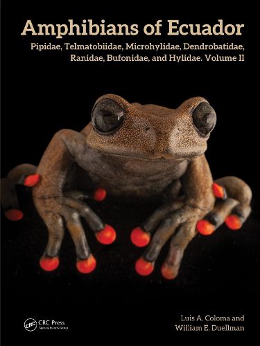 Cover image for Amphibians of Ecuador