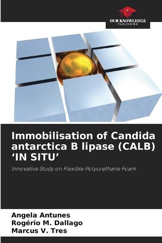 Cover image for Immobilisation of Candida antarctica B lipase (CALB) 'IN SITU'