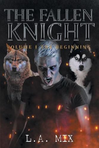 Cover image for The Fallen Knight Volume I the Beginning