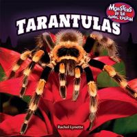 Cover image for Tarantulas