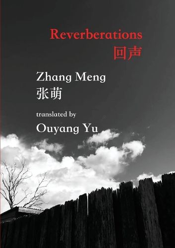Cover image for Reverberations