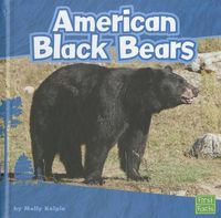 Cover image for American Black Bears (Bears)