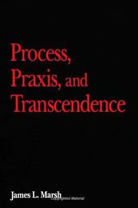 Cover image for Process, Praxis, and Transcendence