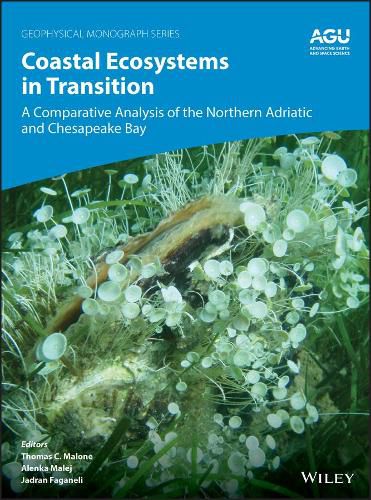 Cover image for Coastal Ecosystems in Transition - A Comparative Analysis of the Northern Adriatic and Chesapeake Bay