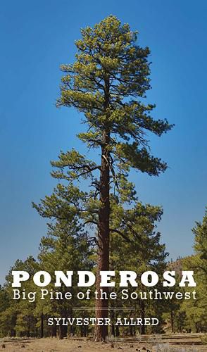 Cover image for Ponderosa: Big Pine of the Southwest