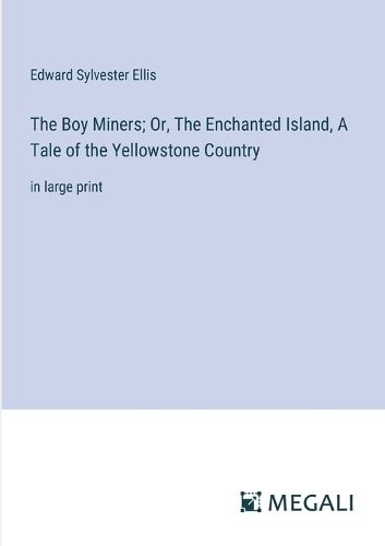 Cover image for The Boy Miners; Or, The Enchanted Island, A Tale of the Yellowstone Country