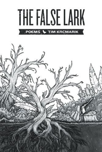 Cover image for The False Lark