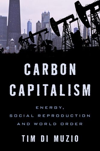 Cover image for Carbon Capitalism: Energy, Social Reproduction and World Order