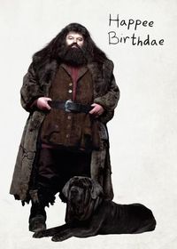 Cover image for Harry Potter: Hagrid's Cake Pop-Up Card