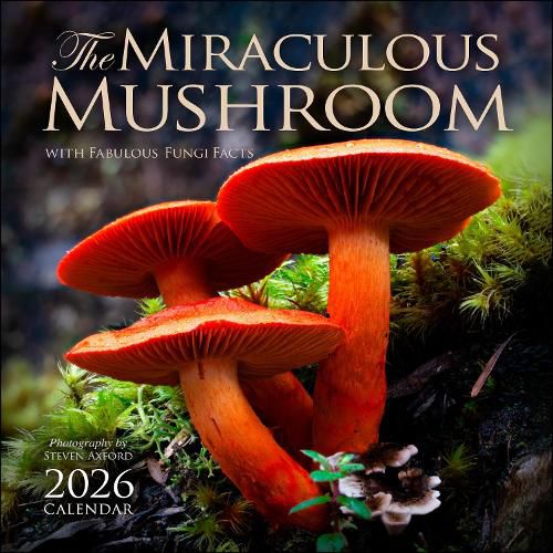 Cover image for The Miraculous Mushroom 2026 Wall Calendar