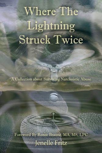 Cover image for Where the Lightning Struck Twice