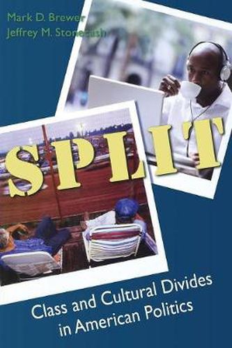 Split: Class and Cultural Divides in American Politics