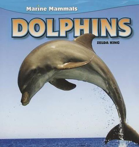 Cover image for Dolphins