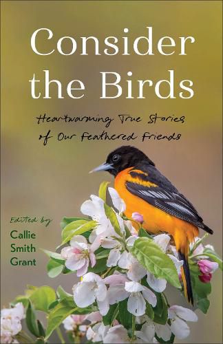 Cover image for Consider the Birds