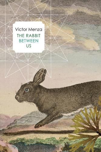 Cover image for The Rabbit Between Us