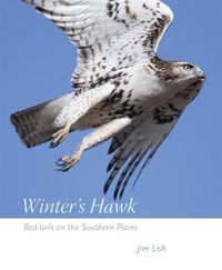 Cover image for Winter's Hawk: Red-tails on the Southern Plains