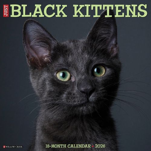 Cover image for Black Kittens 2026 Wall Calendar