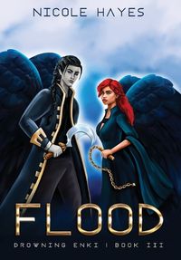 Cover image for Flood