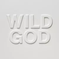 Cover image for Wild God
