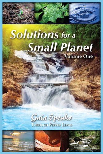 Cover image for Solutions for a Small Planet, Volume 1