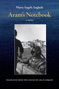 Cover image for Aram's Notebook