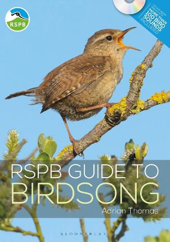 Cover image for RSPB Guide to Birdsong