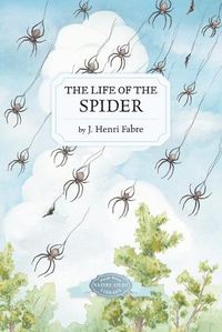 Cover image for The Life of the Spider