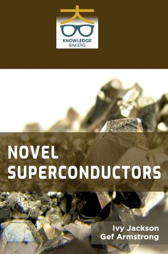 Cover image for Novel Superconductors