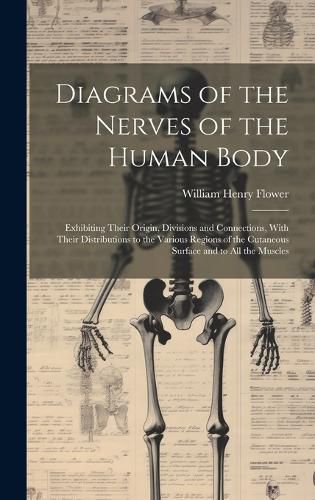 Diagrams of the Nerves of the Human Body