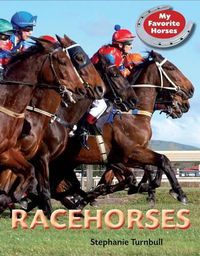 Cover image for Racehorses