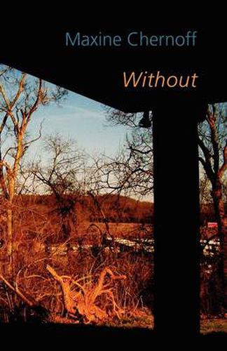 Cover image for Without