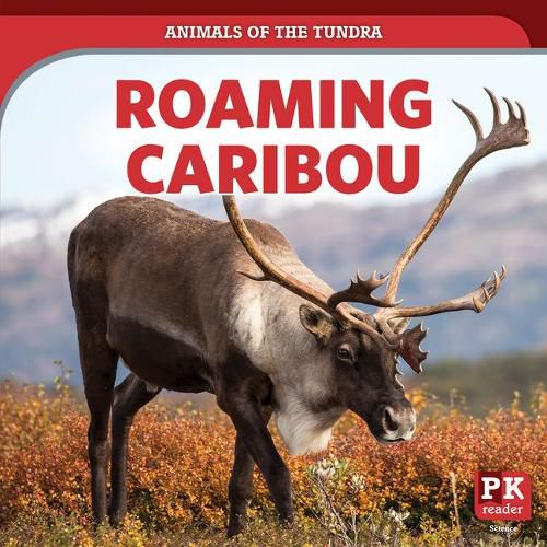 Roaming Caribou