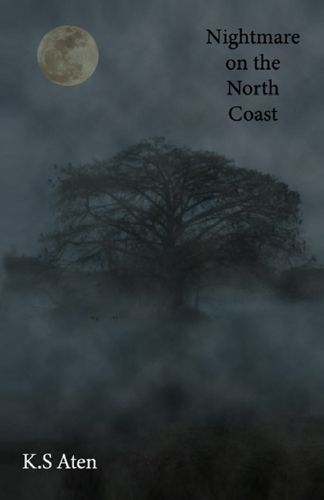 Cover image for Nightmare on the North Coast