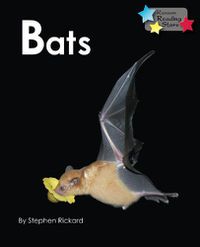 Cover image for Bats