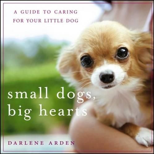 Cover image for Small Dogs, Big Hearts: A Guide to Caring for Your Little Dog