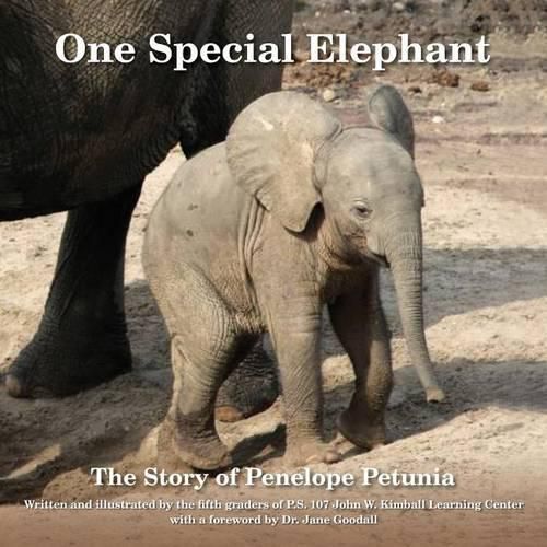 Cover image for One Special Elephant: The Story of Penelope Petunia