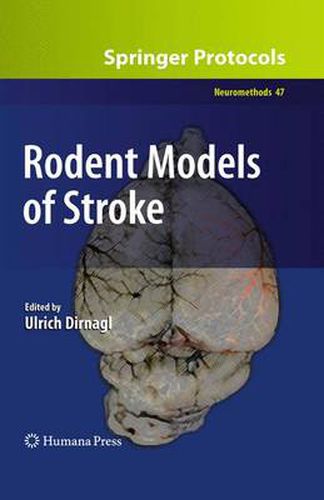 Cover image for Rodent Models of Stroke